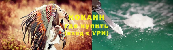 дживик Инта