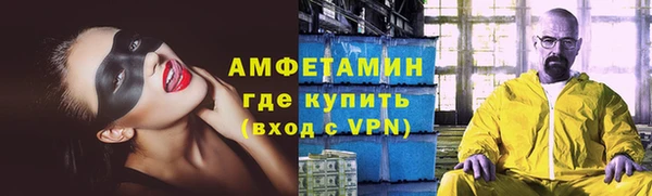 дживик Инта