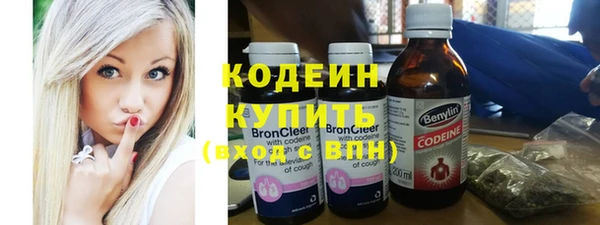 дживик Инта