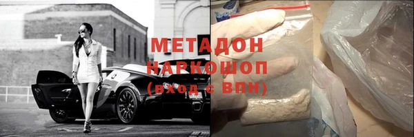 дживик Инта