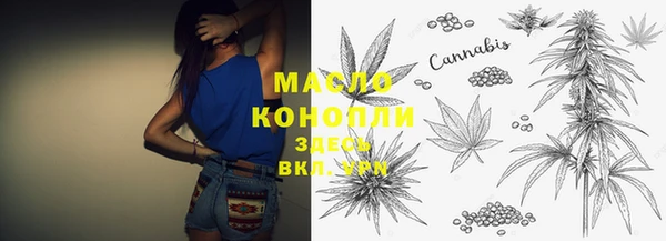 дживик Инта