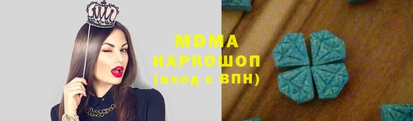 дживик Инта