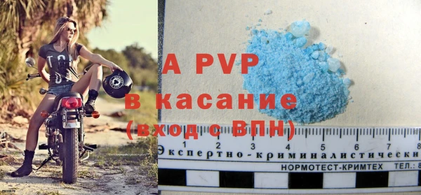 стафф Иннополис