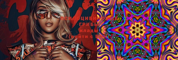 стафф Иннополис