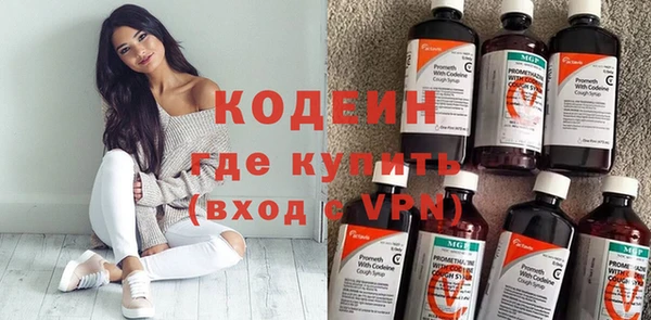 дживик Инта