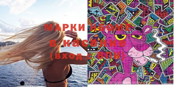дживик Инта