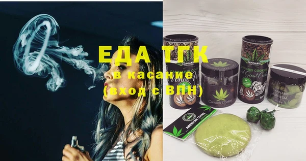 дживик Инта