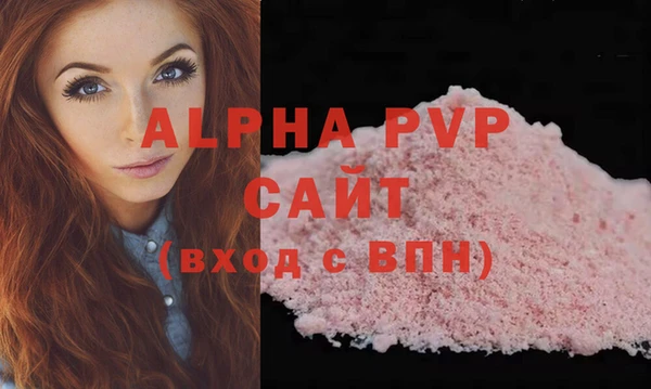 дживик Инта