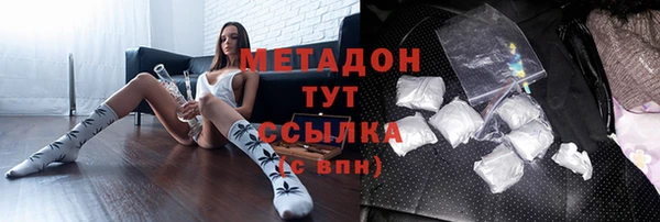 дживик Инта